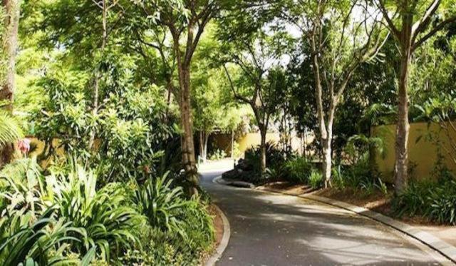 Byron Links Apartments Μπάιρον Μπέι Εξωτερικό φωτογραφία